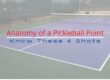 Featured Image 4 Shots of Pickleball